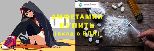 СК Алексин