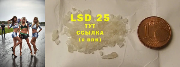 прущие грибы Абдулино