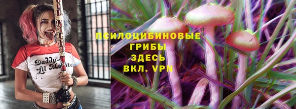 прущие грибы Абдулино