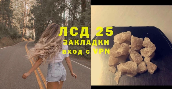 прущие грибы Абдулино