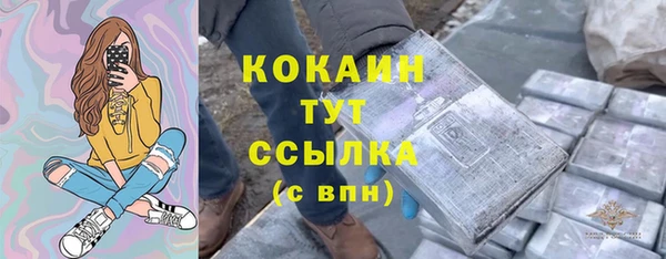 прущие грибы Абдулино