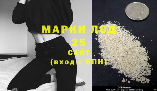 стаф Алзамай