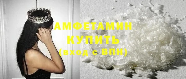 СК Алексин