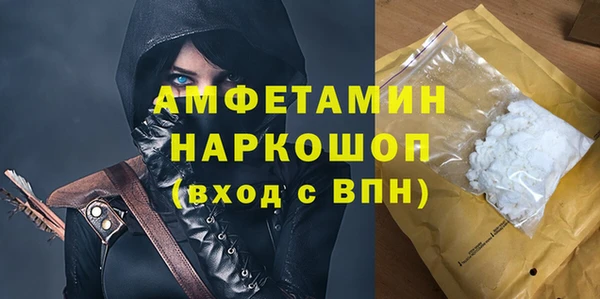 стаф Алзамай