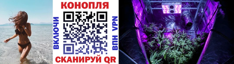 mega сайт Ладушкин Шишки марихуана ГИДРОПОН